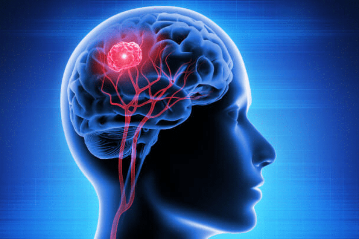 Claude AI features explained